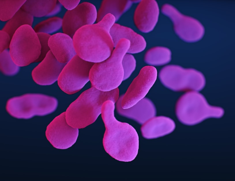 Microbial Diversity and Water Quality
